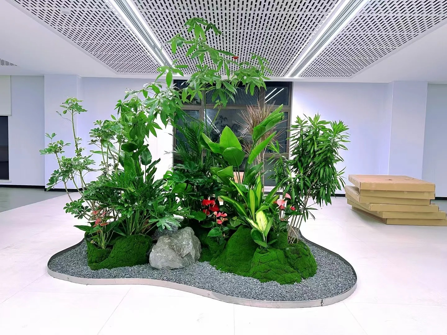 专业绿植出租服务,点亮宁波余姚每一处角落