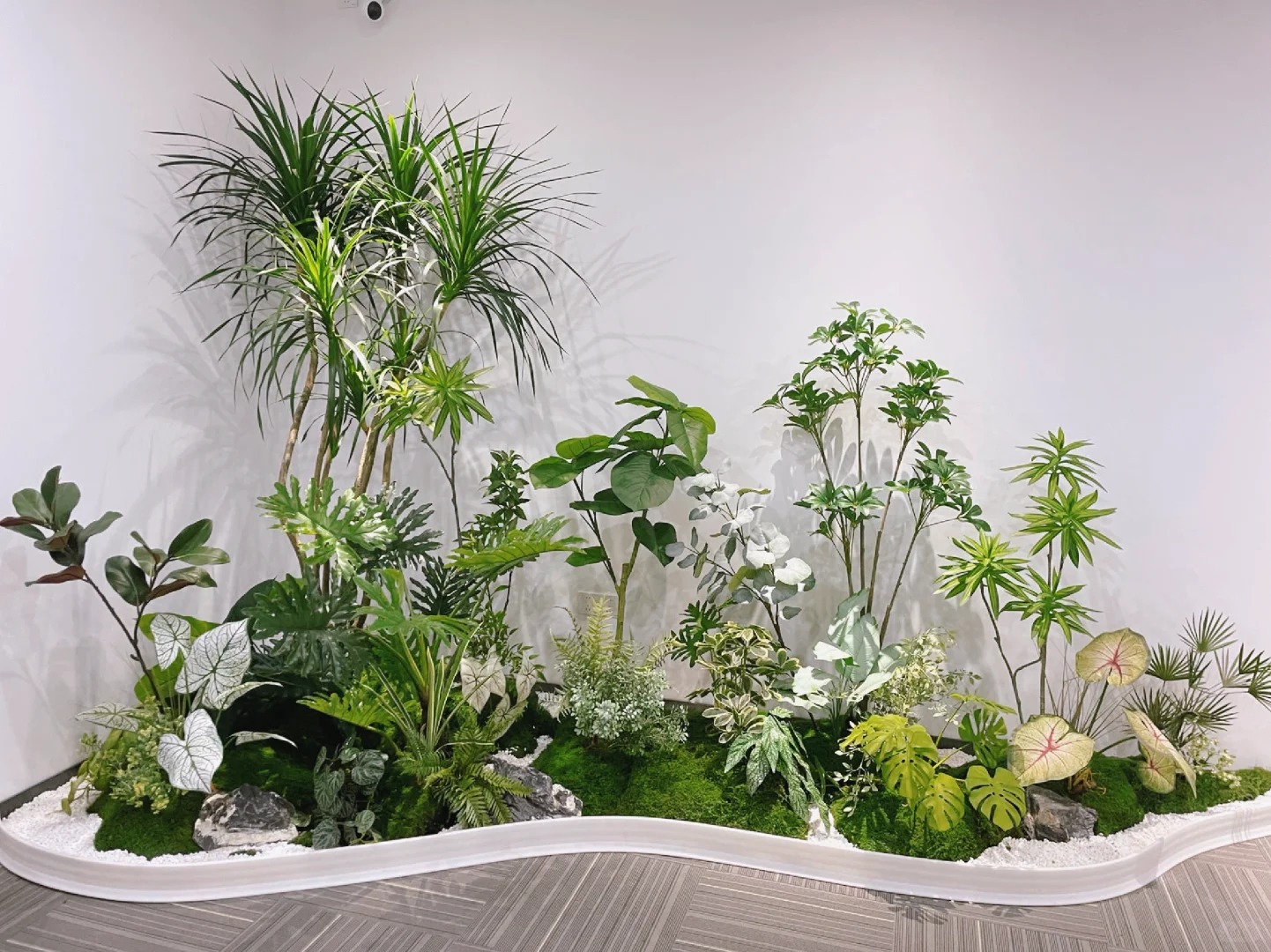 专业绿植出租服务,点亮宁波余姚每一处角落